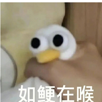 ж벻仯ϲ