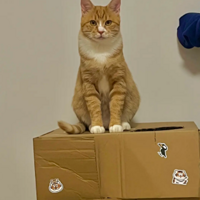 ����ү���˸�������Ұ���ܿ��ģ�