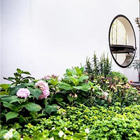 ����ϵ��԰