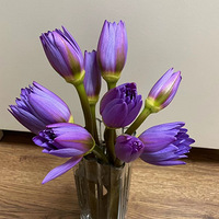 9.9���˯������Ȼ��ô�ÿ���