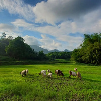 ��ְרע�����ͥũ����