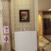 �Ҽ�װ��װů��Ƭ���ھ����ž����Ա���������