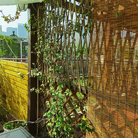 ����ը��һ�죬���滨ǽ�����𣬻��Ƿ糵�����