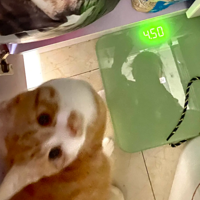 7���µ�Сè��9��᲻��̫����ѽ