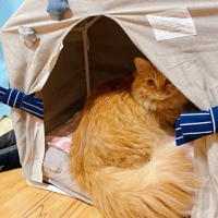 ��ë�ٵ���ò�������̻��İ�