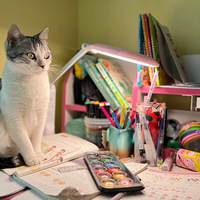 ������ļ๤���Ҽҵ���������