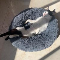 ��è˯����֪���ﶬ��̫�����ж������