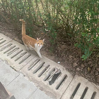 С������è������(�������湺��)