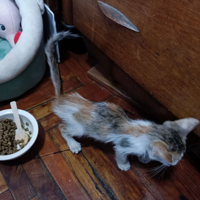 �ռ���������ڵ�����