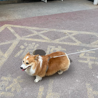 ¥jio����������ֻ�÷ʵĿ»����������һ�����к���