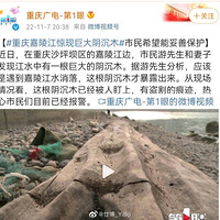 ������꽭���־޴�����ľ������ϣ�������Ʊ���