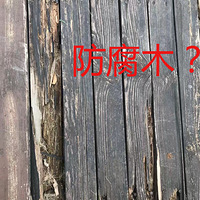 Ϊʲô���Ǽ����ķ���ľ���Ǹ��õģ�