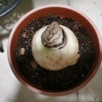 ��ʮ����Ϳ��������ҵ��춥������֮·