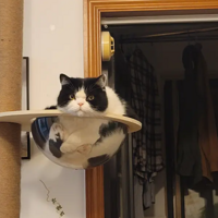 �����ǣ������������ˡ�