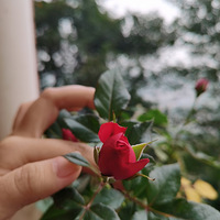 �������ְѻ���װ����