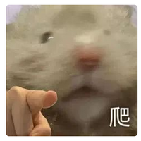 𷢷賱Ҳһֱߵˡ