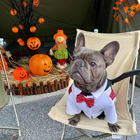 �������綼����ϲ�翪ͷ��