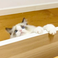 ͵������Ͱδ�������è