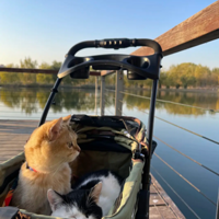 ��������������������