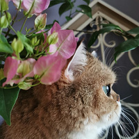 �������˾�Ȼ����ô��