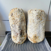 �����µ�ƽ��