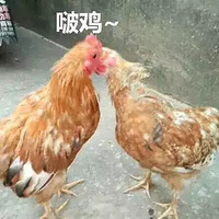 ǲͼҲᱩ¶ȱ㣺ԲԲϣŰ֥¶˼