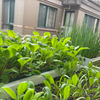 ��̨����ֵ�� û�뵽�⼸����ֶ���