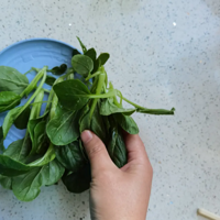 ��ë�˿��Գ���