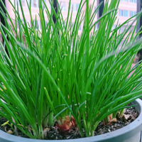 �ֵ�С���������л�����ĺð��ݣ���