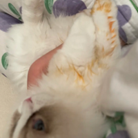 ���� è����մ��������ô��