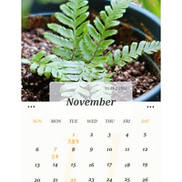 �� ÿ��һ�� | ������̨�ľջ�+ �����20����ķ�ѩɽõ�� yyds