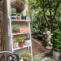 С��԰�����е�Сģ����