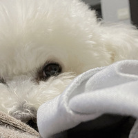 �����µĹ��ӣ�