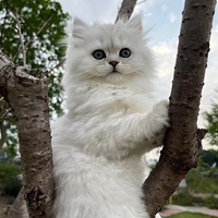 ������.��������