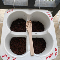 ���ܵȵ����ǿ������������һ�ٿ�����