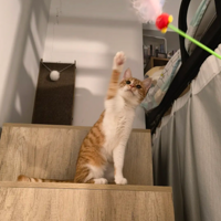 ɹһ�¸սӻؼҵ�ճ�˾�