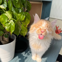 �ð��ҵ���~����̲�ס��������˭������������������