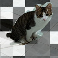 �ҵ�����϶׿ӣ� ����ȫ����ѧ��