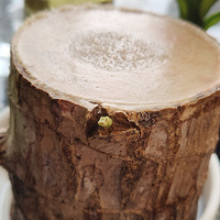 �㲻������Ҳ�����͵���̨�Ϸ羰