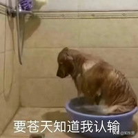 Сأ»ھӽһ31ˣ̱ⱲӶ