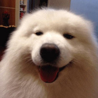 Щ޵ĴȹӿӰǸ˭Ƶģ ƾʲôô