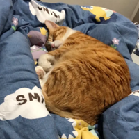 ���쵽�ˣ��������˴�