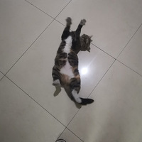 �������������è��ճ��