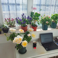 12�µ�СFAFA��