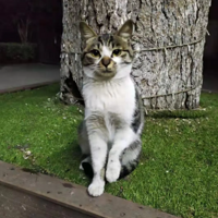 ���˵�ʱ��һֱ��Ϊ���ֽ������ �����jio��ù�� ��������