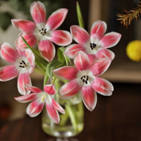 �������������������