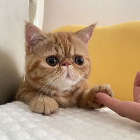 ���Ҵ��ּӷ����Ҹ���������������Ѱ�û��˼�����