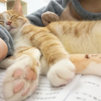 ��˭�����˻�û��һֻճ�˵�ů�ֱ�ѽ����