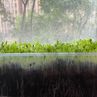 �����������ʶ�����