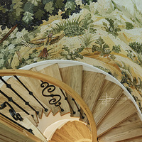 ʵ����������  ������������ | ľϬ����׶���